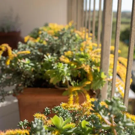 Eucalipto, Splendido Con Terrazza Panoramica Sulla Campagna Versiliese Apartment