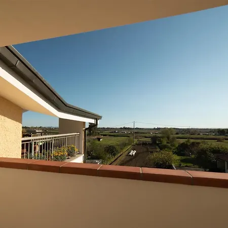 Eucalipto, Splendido Con Terrazza Panoramica Sulla Campagna Versiliese Massarosa