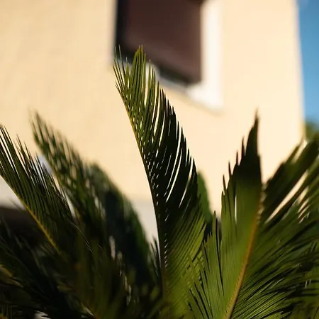 Apartment Eucalipto, Splendido Con Terrazza Panoramica Sulla Campagna Versiliese *